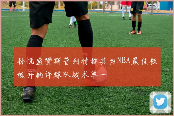 孙悦盛赞斯普利特称其为NBA最佳教练并批评球队战术单一